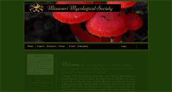 Desktop Screenshot of momyco.org