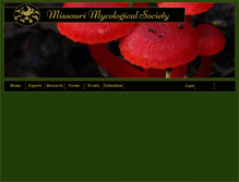 Tablet Screenshot of momyco.org